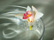 flowerfloating
