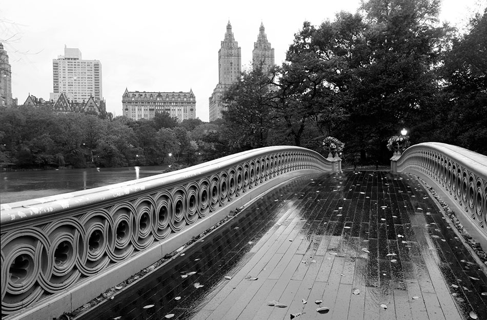 New York Pictures New York Photography Black And White New York